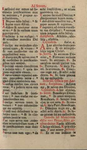 43