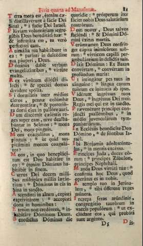 81