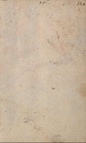 Guarda