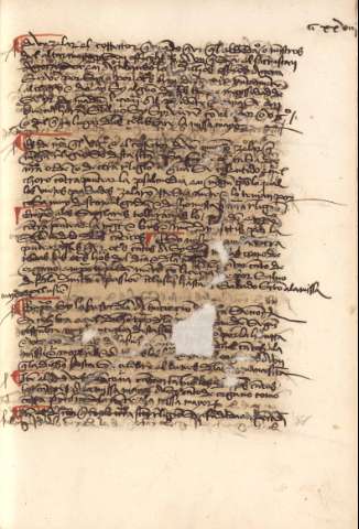 CCXXVIII