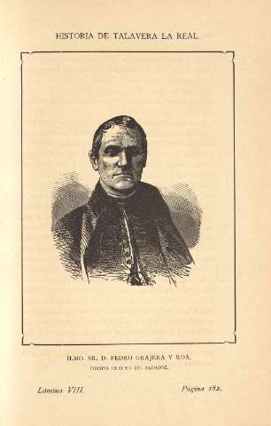 Lámina VIII
