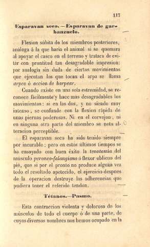 117