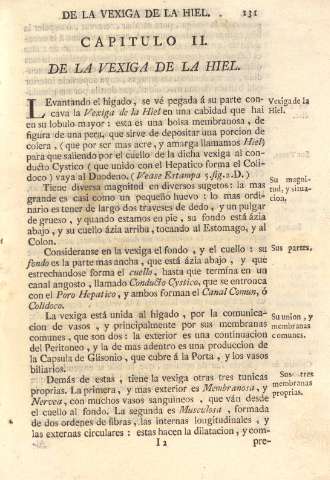 131