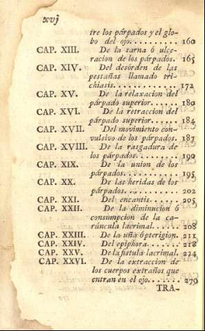 XVI