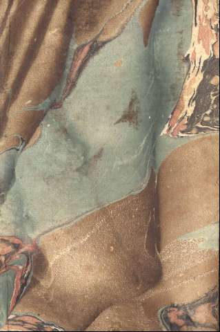 Guarda