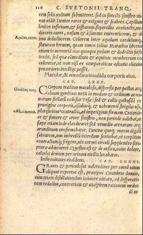 120