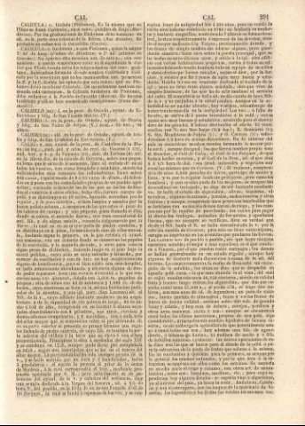 291