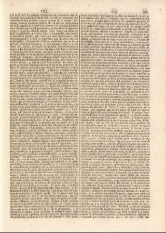 295