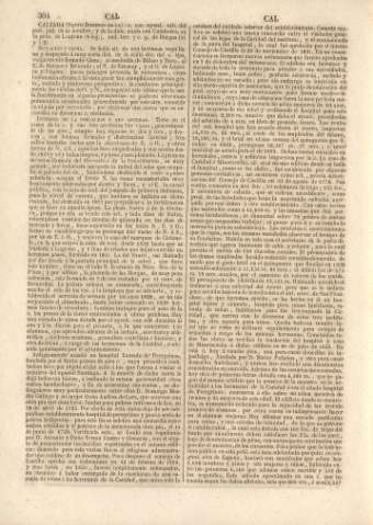 304