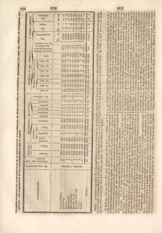 248