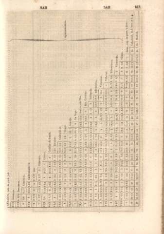 619