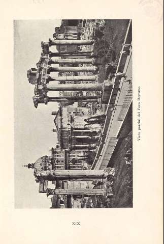 XIX