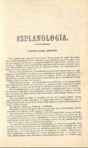 image/jpeg