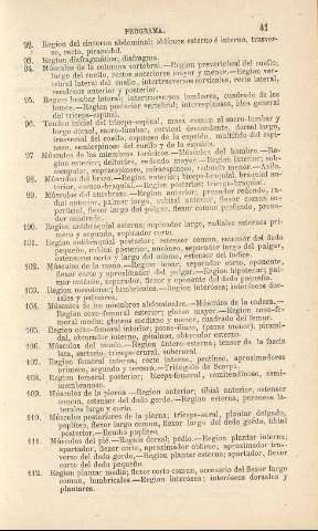 41