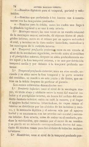 74