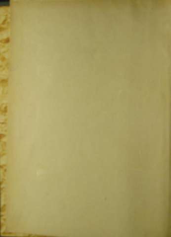Guarda