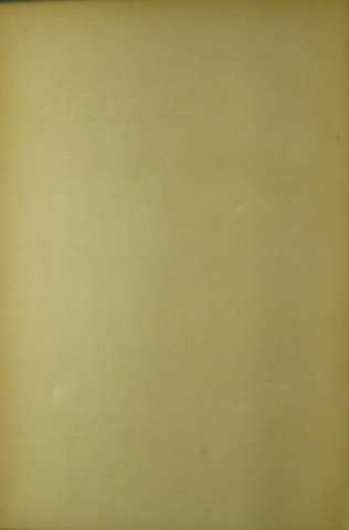IV