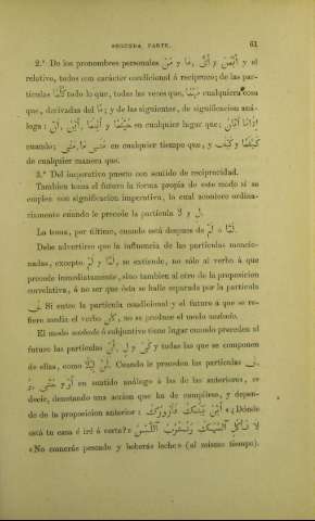 61