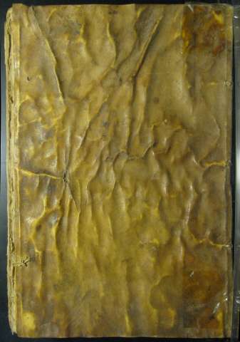 Tapa