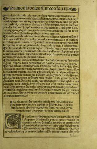 xxxvi