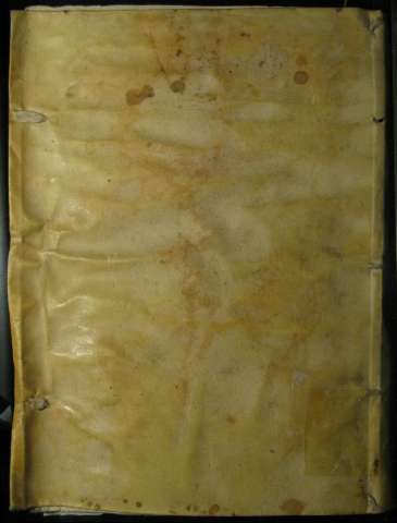 Tapa