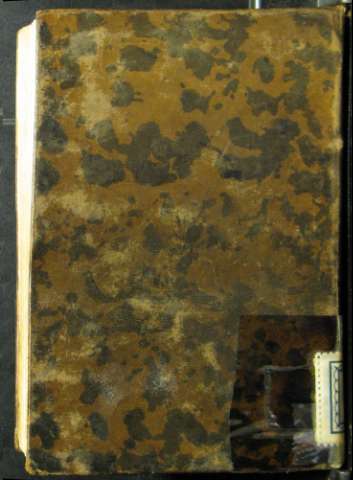 Tapa