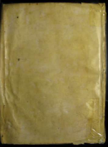 Tapa