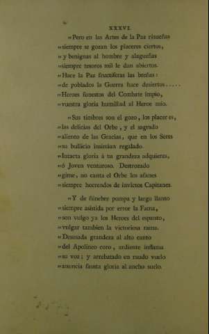 XXXVI