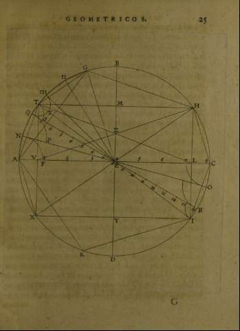 25