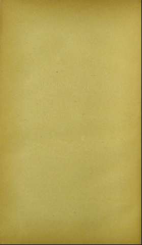 256