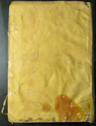 Tapa