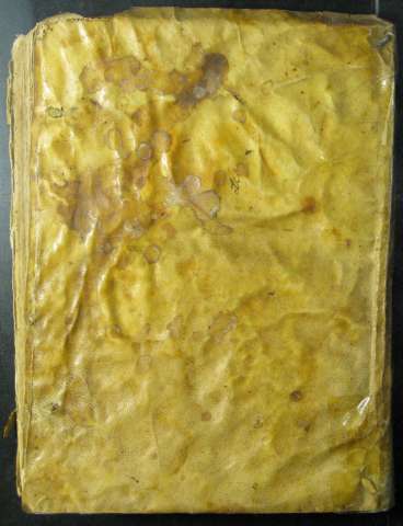 Tapa