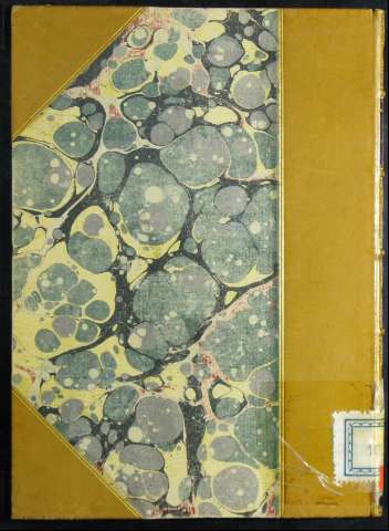 Tapa