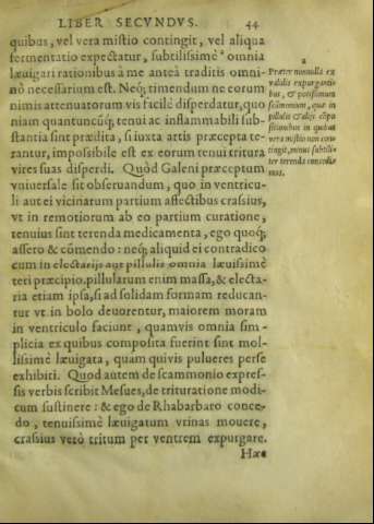 44