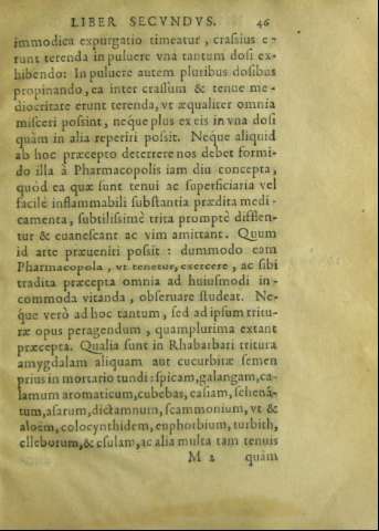 46