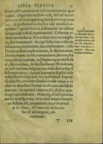 73