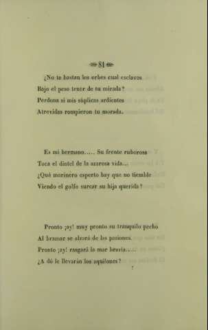 81