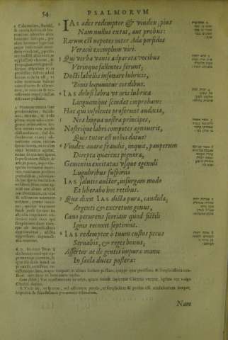 54