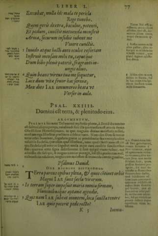 77