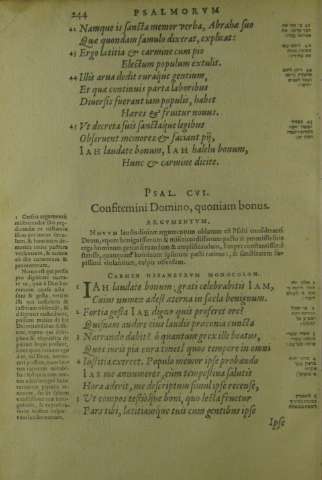 244
