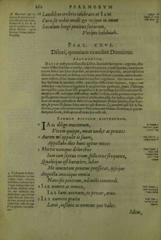 262