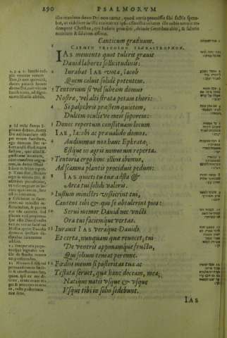 290