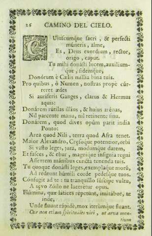 26