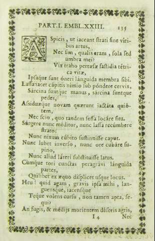 135