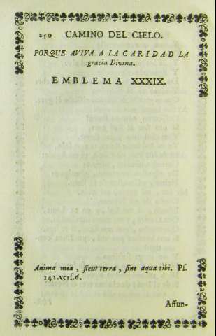 250