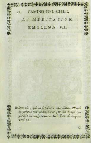 28