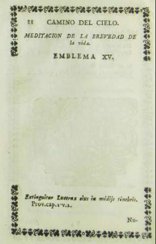 88