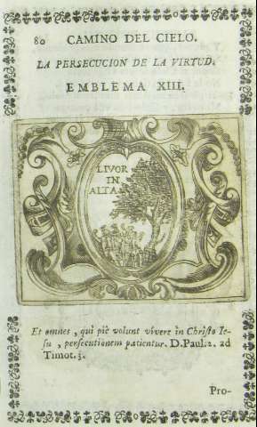 80
