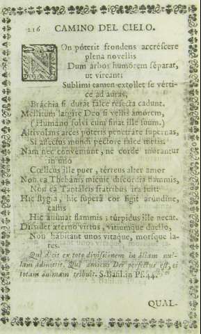 216