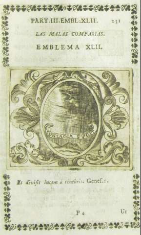 231